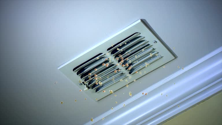 Best Affordable Duct Cleaning Services  in Indiantown, FL