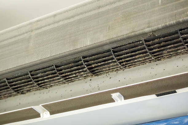 Best Commercial HVAC Duct Cleaning  in Indiantown, FL